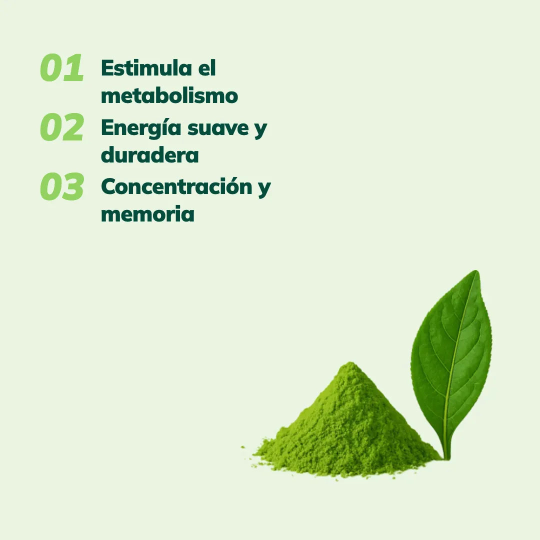 Té Matcha Ceremonial Organico