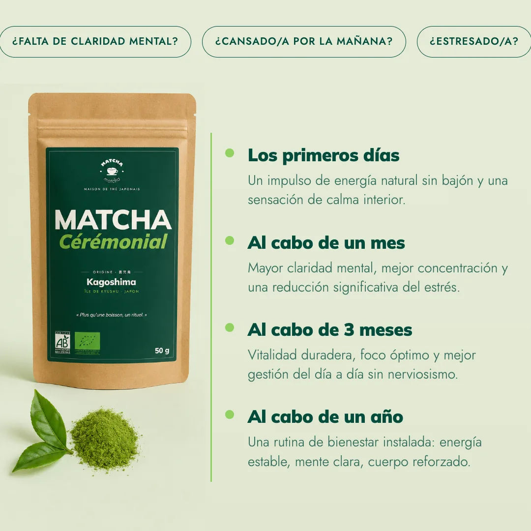 Té Matcha Ceremonial Organico